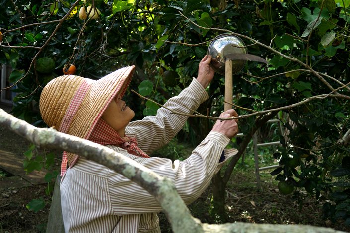 2.DSC00867 - コピーA.jpg