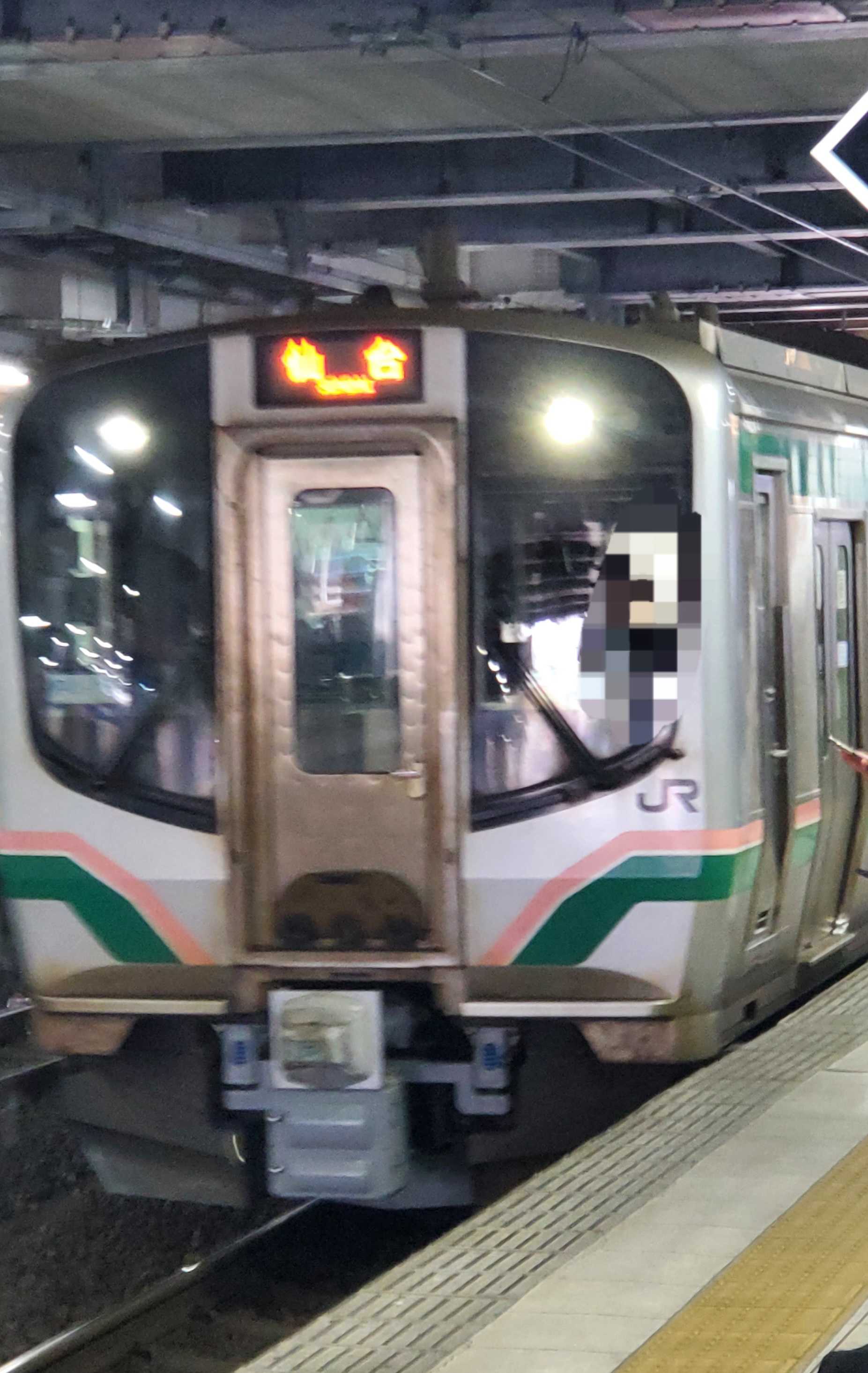 乗車記録番外】JR東日本スーパートレインスタンプラリー・新幹線