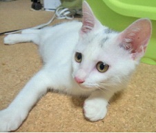 201207151911001.jpg