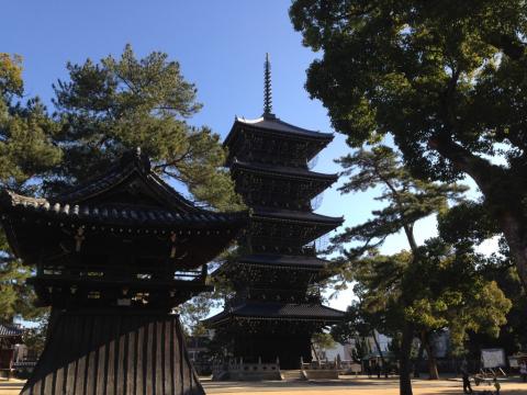 善通寺2
