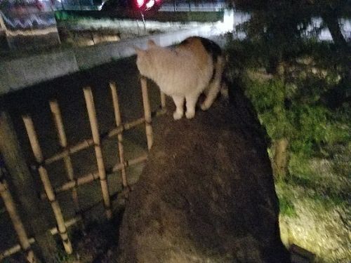 rblog-20180430065006-04.jpg