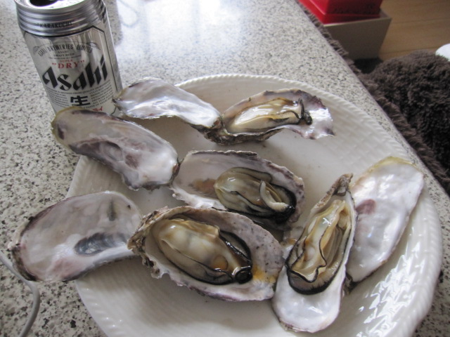 IMG_1500.JPG