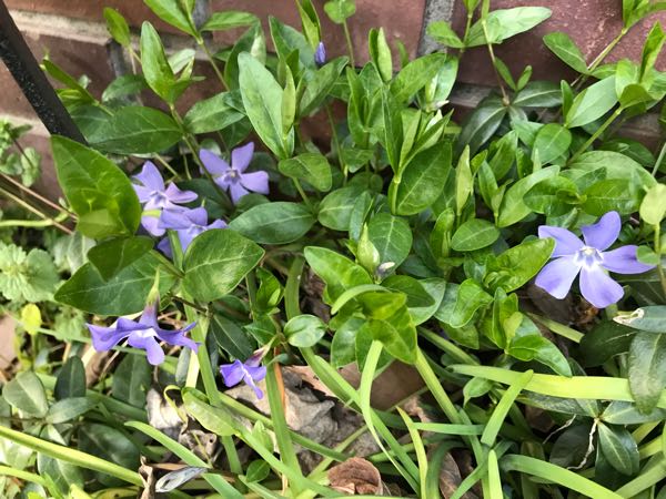 rblog-20190324174746-00.jpg