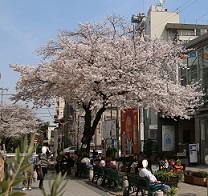 IMG_3581-1.jpg