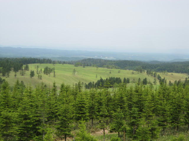 IMG_8792.JPG