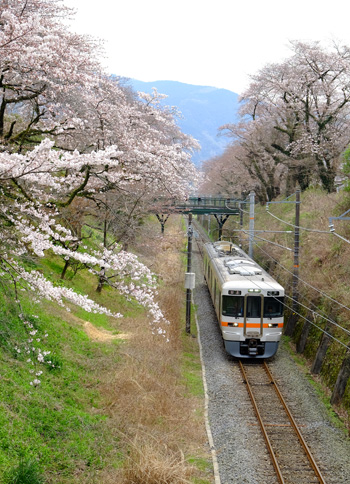 2016 03 30_2099.jpg
