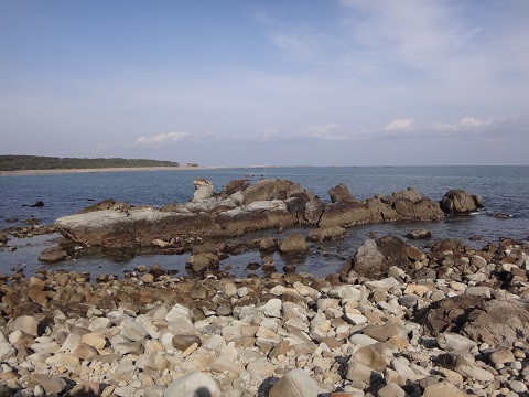 DSC08028.JPG