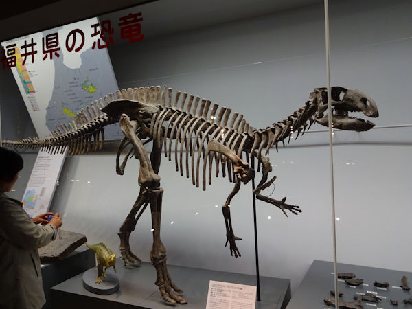 160330恐竜博物館02.jpg