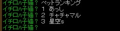 りこﾁｬﾝのペットランキング.jpg