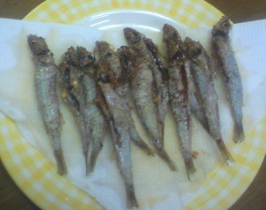 FILE0003.JPG