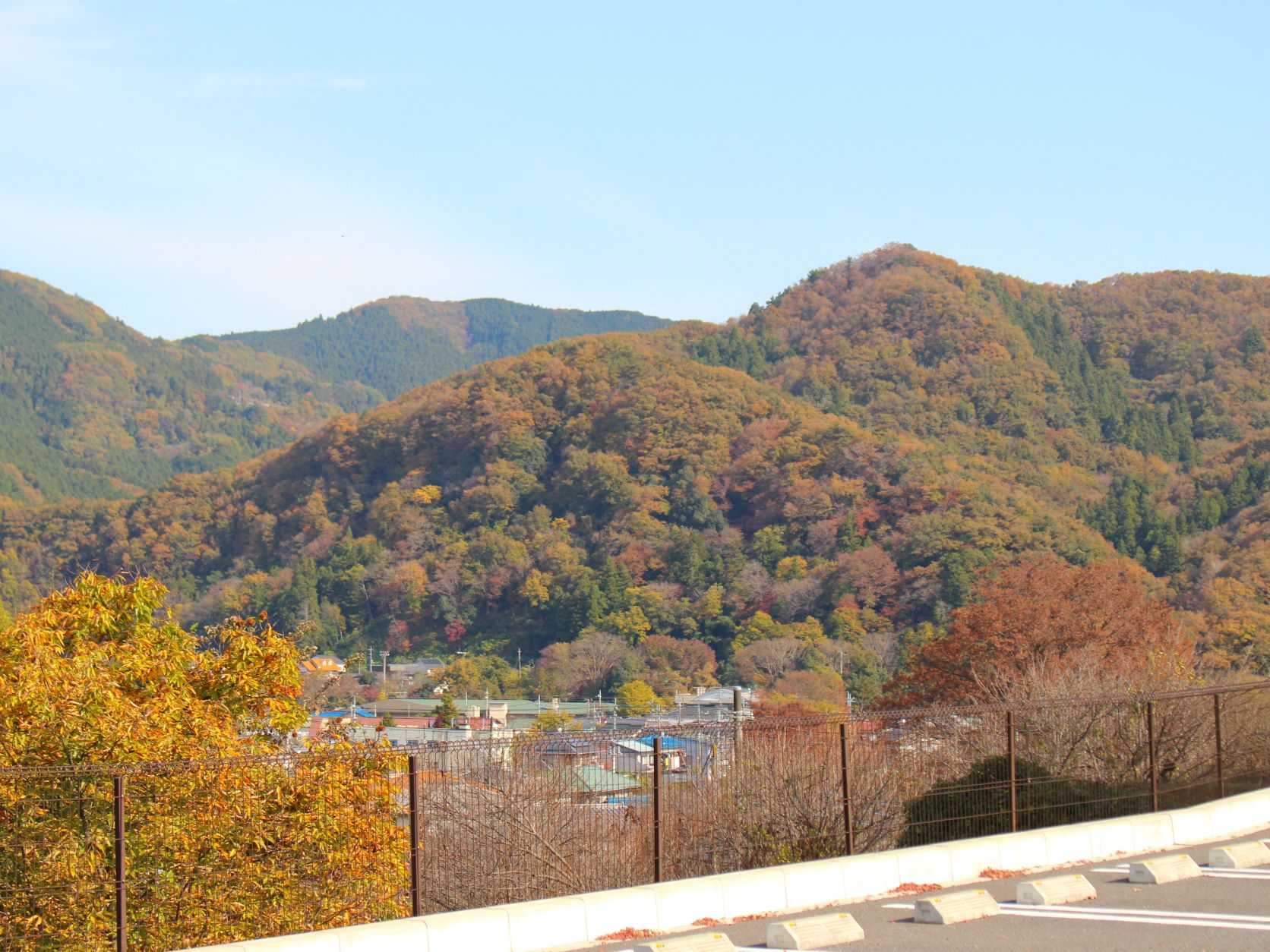 【長瀞の紅葉】宝登山山麓・山頂遍 2021.11.16 | 花のおもてなし長生館スタッフのブログ - 楽天ブログ
