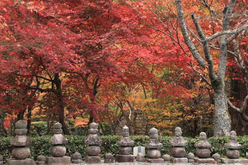 あだし野念仏寺_011.jpg