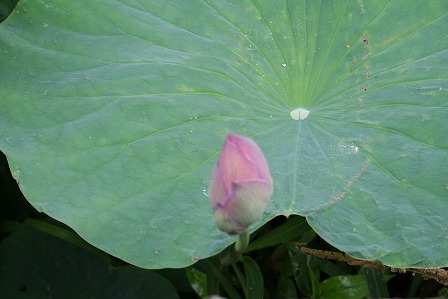 s-IMG_3000.jpg