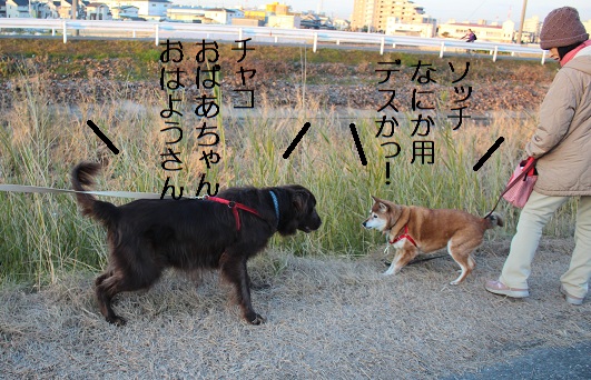 ばあ