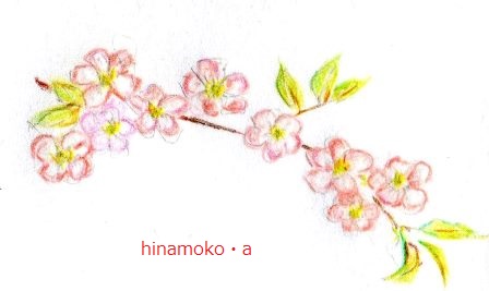 桜.jpg