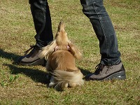 20121016150510[1].jpg