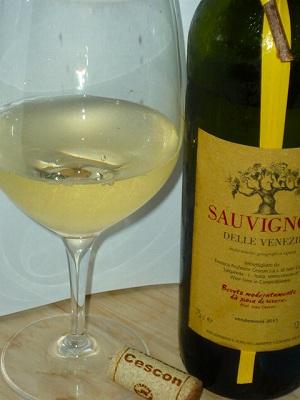 Professor Cescon Sauvignon delle Venezie 2011 glass.jpg