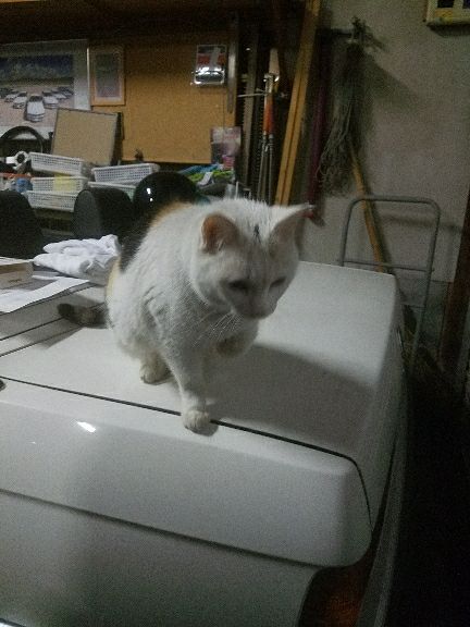 rblog-20180316100231-03.jpg