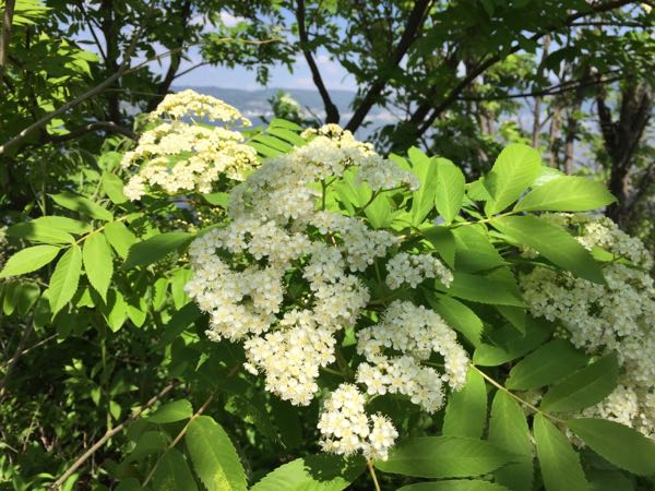 rblog-20180505160632-05.jpg