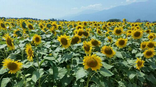rblog-20160807151913-05.jpg