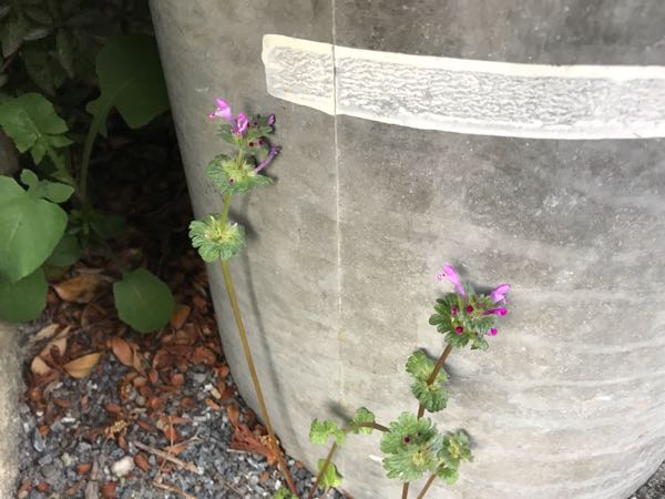 rblog-20190324174614-08.jpg