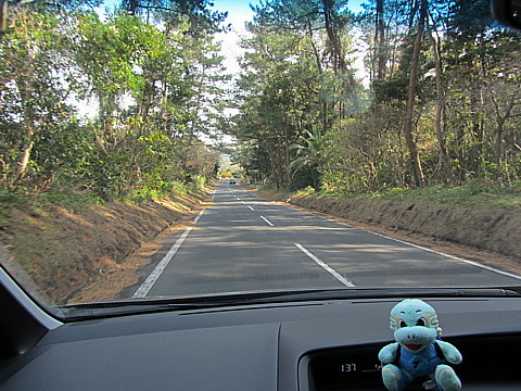 IMG_2893.jpg