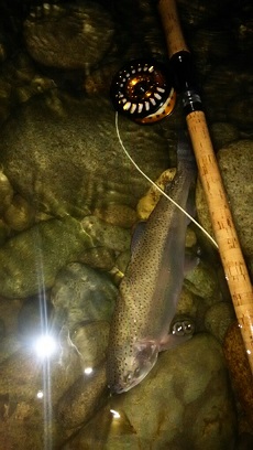 釣り