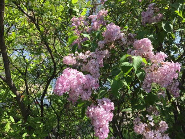rblog-20180505160834-00.jpg