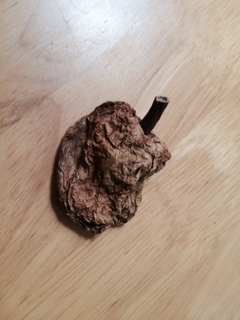 ミイラパプリカ