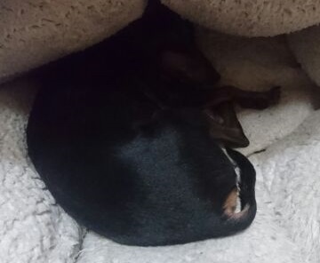 1505234177107.jpg
