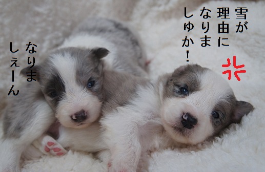 雪は理由にならない