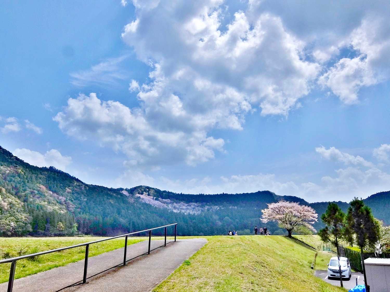 七越峰森林公園 本宮大社 桜 花見 和歌山 