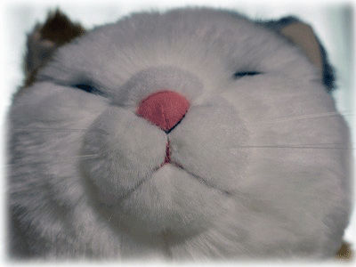 画像-007.gif
