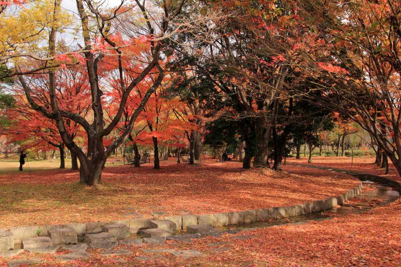 万博記念公園_002.jpg