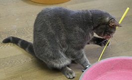 5DA_5972-7.jpg