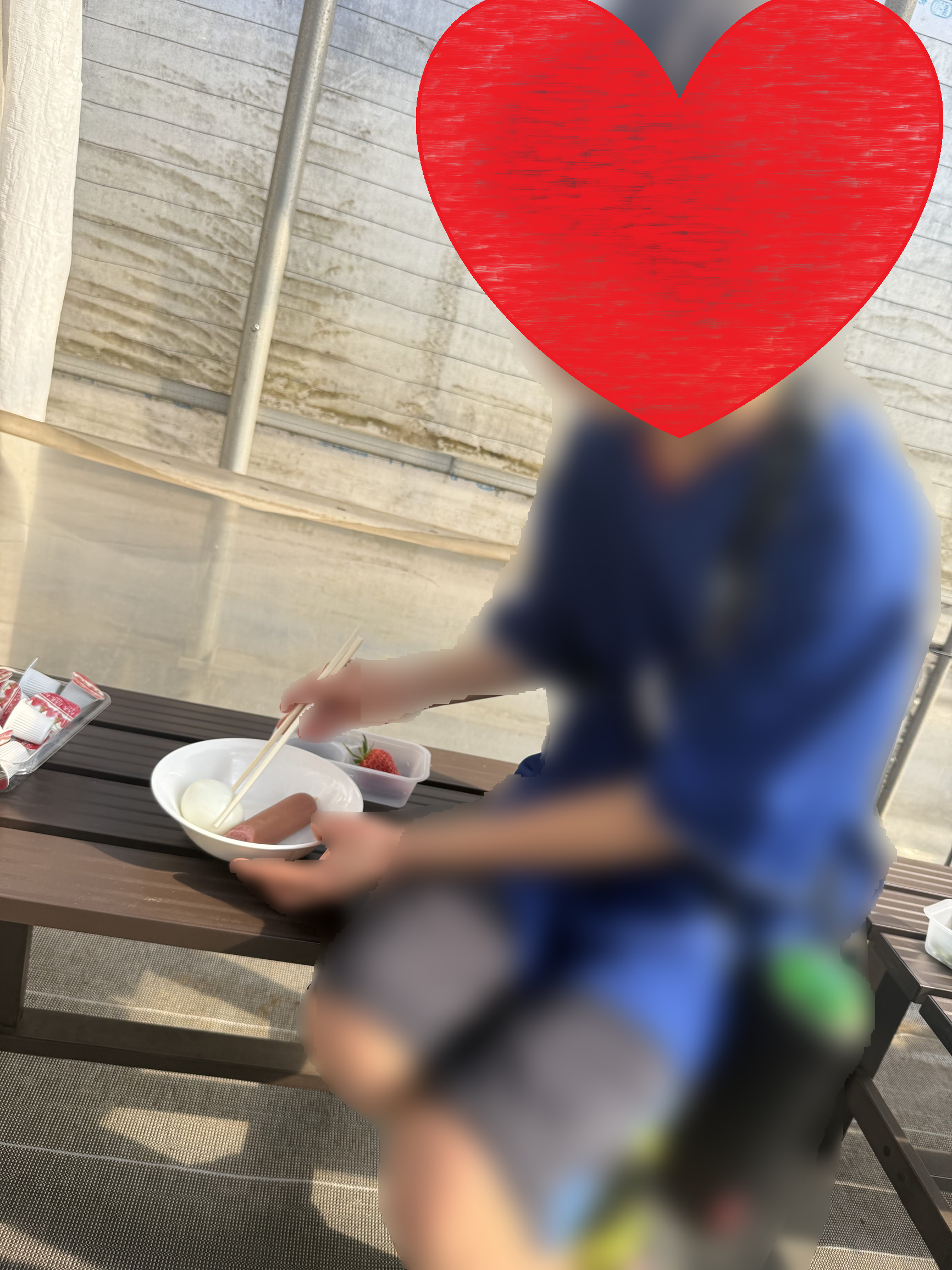 千葉市　ドラゴンファーム　子供といちご狩り　おでん