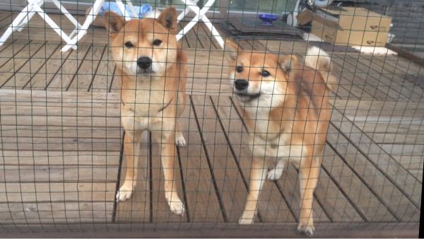 rblog-20151222232718-01.jpg
