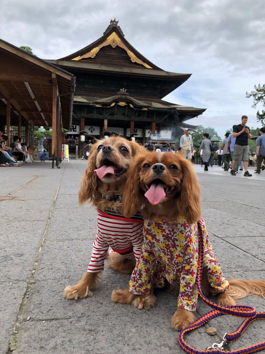 rblog-20180929130812-09.jpg