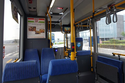 DSC01242rtw.jpg