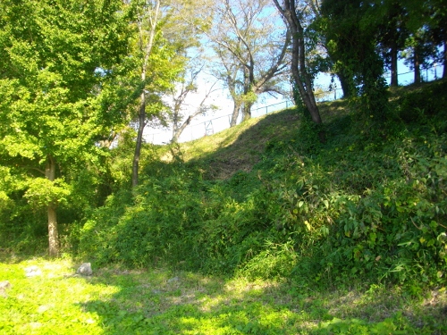 大田城土塁 (500x375).jpg