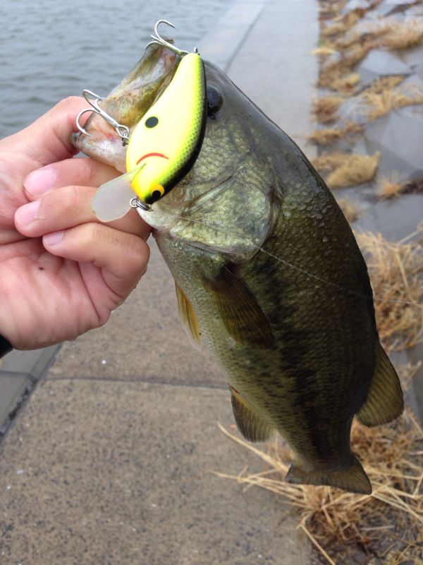 rblog-20140606141810-03.jpg