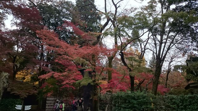 2015-11-22 09.57.23.jpg