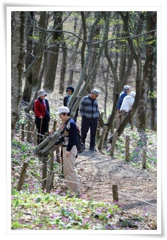 平栗-4 遊歩道 13.4.13