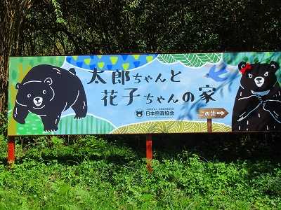 ツキノワグマ 太郎と花子 生石高原そば 愉快な写真館 日暮らし日記
