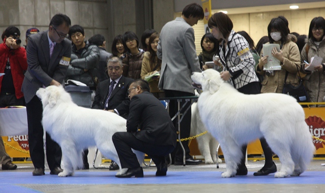 IMG_2557 - コピー.JPG