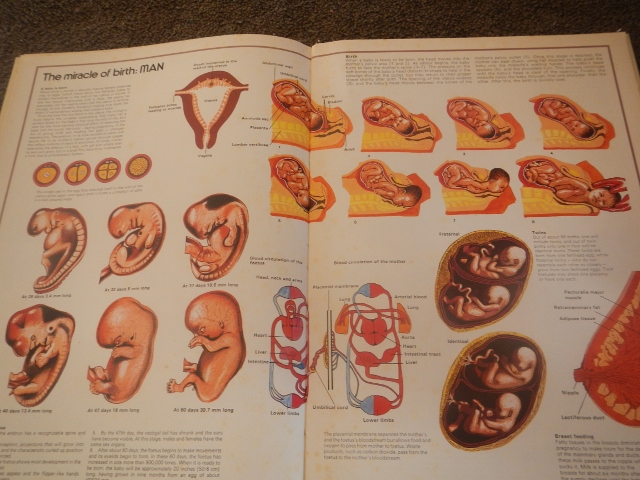 DSCN4159 (640x480).jpg