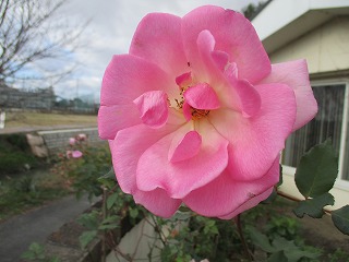 IMG_5644ss.jpg