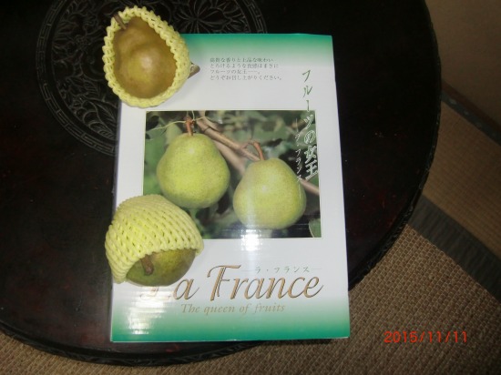 我が家の珍百景 012.jpg