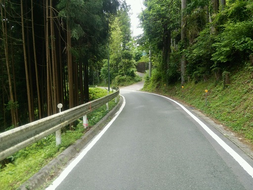 山道って楽しい