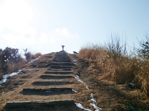 東鳳翩山-33.jpg